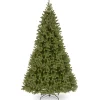 CC Christmas Decor Unlit-10' Downswept Fir Artificial Christmas Tree - Unlit