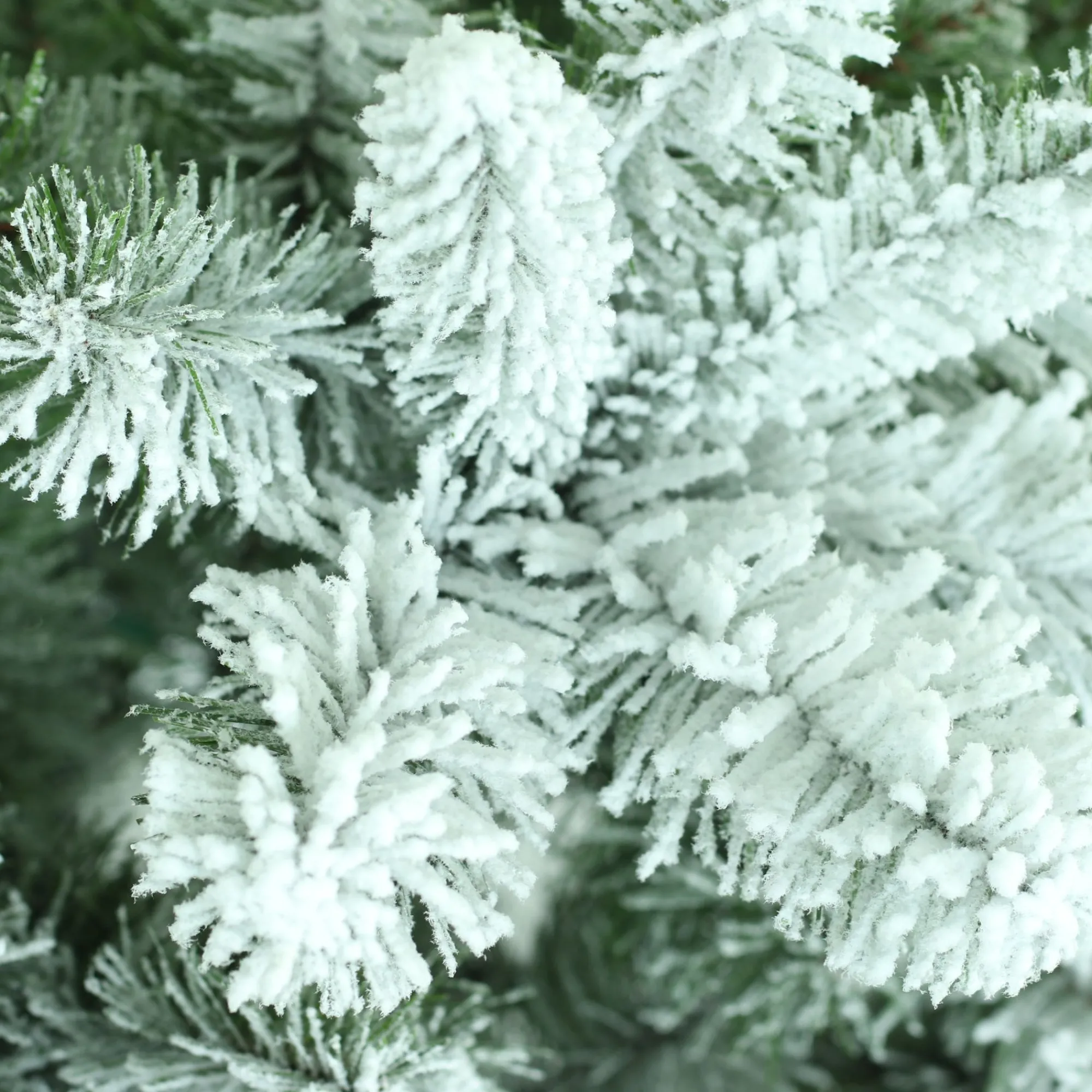 CC Christmas Decor Unlit-6.5' Flocked Virginia Pine Artificial Christmas Tree, Unlit
