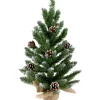 Northlight Unlit-24" Frosted Norway Pine With Pine Cones Medium Artificial Christmas Tree, Unlit