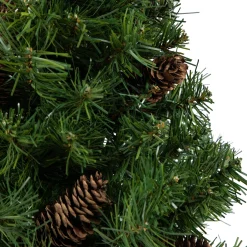 Northlight Unlit-2' Full Dakota Pine Artificial Christmas Tree, Unlit
