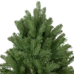 Northlight Unlit-6.5' Full Sierra Noble Fir Artificial Christmas Tree - Unlit