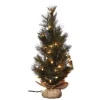 Contemporary Home Living Unlit-2' Green Artificial Christmas Pine Tree With Light - Unlit
