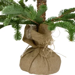 Northlight Unlit-4' Green Ponderosa Pine Artificial Christmas Tree With Jute Base – Unlit