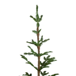 Northlight Unlit-5' Green Ponderosa Pine Artificial Christmas Tree With Jute Base- Unlit