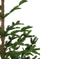 Northlight Unlit-5' Green Ponderosa Pine Artificial Christmas Tree With Jute Base- Unlit