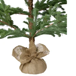 Northlight Unlit-5' Green Ponderosa Pine Artificial Christmas Tree With Jute Base- Unlit