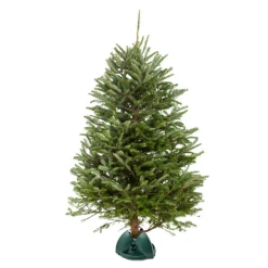 Outdoor Living and Style Artificial Tree Stands-19" Green, Red, And White Plastic Santa's Tree Stand With Reservoir
