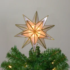 Kurt Adler Stars-10