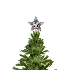 Northlight Stars-9