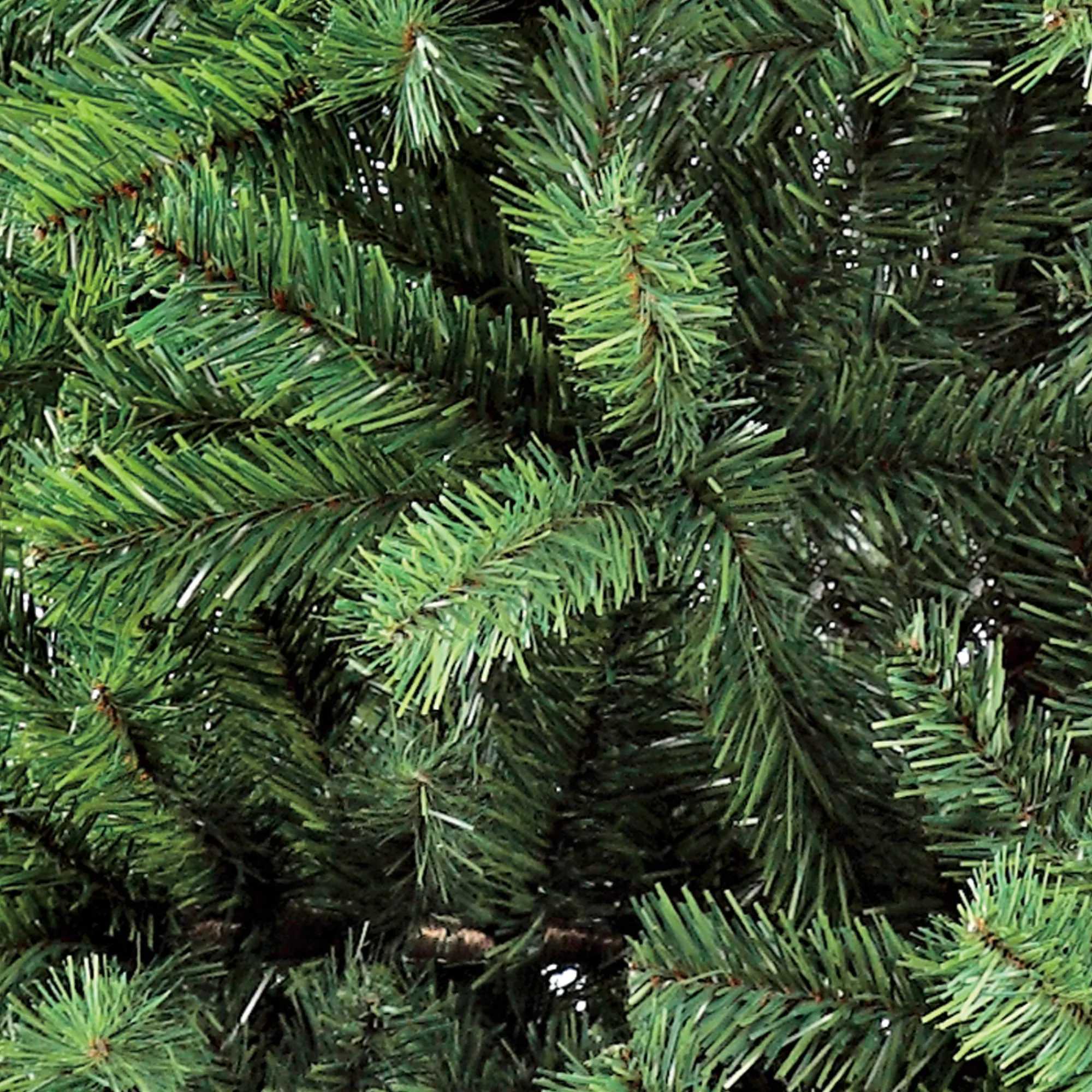CC Christmas Decor Unlit-7' Medium Fraser Fir Artificial Christmas Tree – Unlit