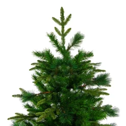 Northlight Unlit-6.5' Medium Rosemary Emerald Angel Pine Artificial Christmas Tree - Unlit