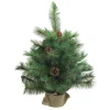 Northlight Unlit-18" Medium Royal Oregon Pine Burlap Base Artificial Christmas Tree - Unlit