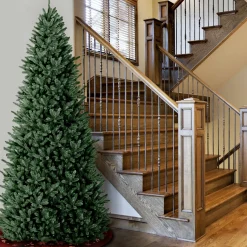 CC Christmas Decor Unlit-12' Natural Fraser Medium Fir Artificial Christmas Tree - Unlit