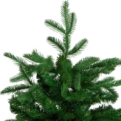 Northlight Unlit-7' Nordmann Spruce Artificial Christmas Tree - Unlit