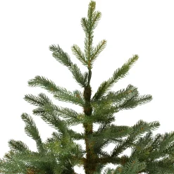 Northlight Unlit-6.5' North Pine Artificial Christmas Tree, Unlit