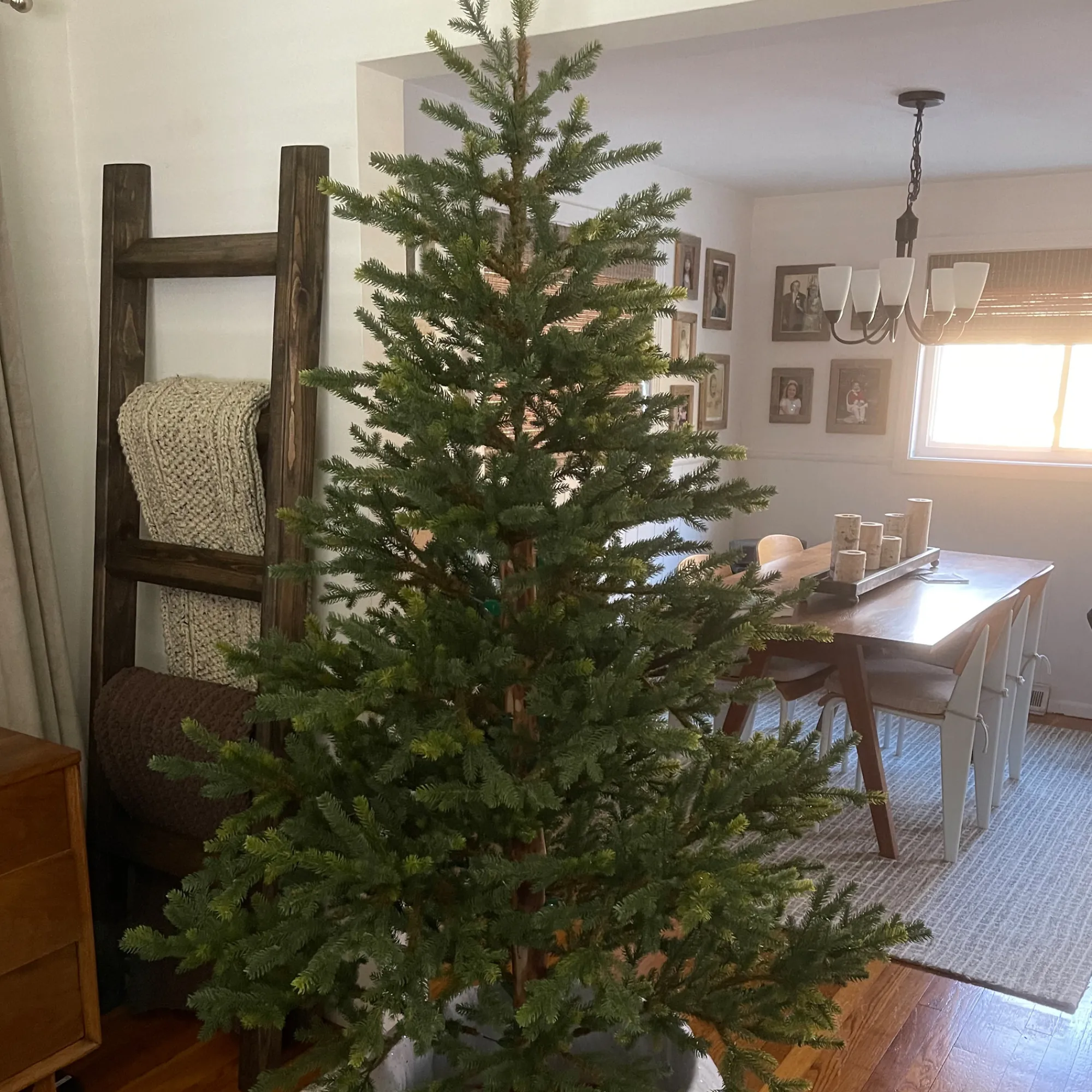 Northlight Unlit-6.5' North Pine Artificial Christmas Tree, Unlit
