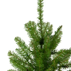 Northlight Unlit-6.5' Northern Pine Full Artificial Christmas Tree, Unlit