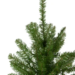 Northlight Unlit-4' Northern Pine Medium Artificial Christmas Tree, Unlit
