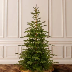 Christmas Central Unlit-7.5' Norwegian Spruce Artificial Christmas Tree, Unlit