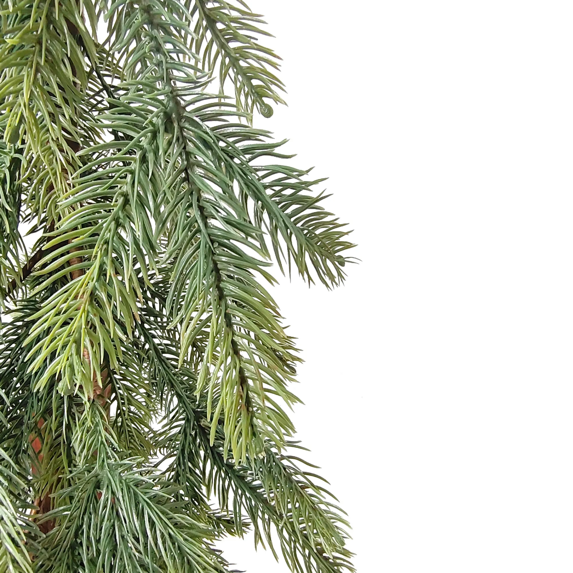 Northlight Unlit-59" Pine Tree With Jute Base Christmas Decoration