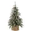 Northlight Unlit-18" Potted Flocked Downswept Mini Village Pine Medium Artificial Christmas Tree - Unlit