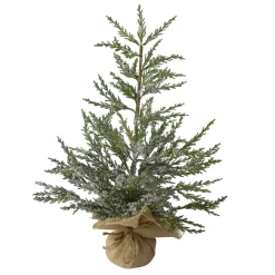 Northlight Unlit-2' Potted Iced Cedar Pine Medium Artificial Christmas Tree - Unlit