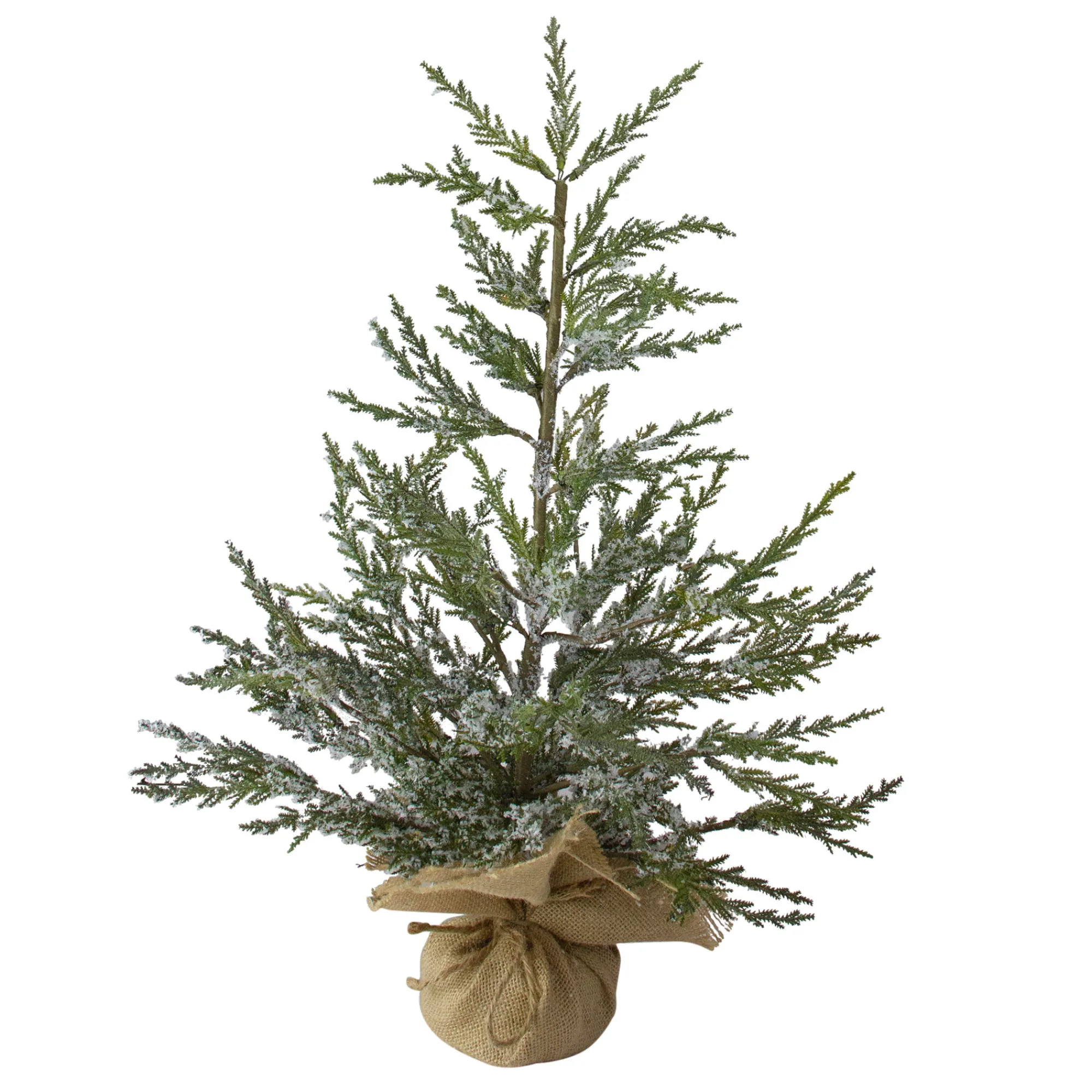 Northlight Unlit-2' Potted Iced Cedar Pine Medium Artificial Christmas Tree - Unlit