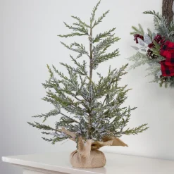 Northlight Unlit-2' Potted Iced Cedar Pine Medium Artificial Christmas Tree - Unlit