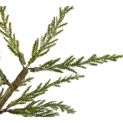 Northlight Unlit-2' Potted Iced Cedar Pine Medium Artificial Christmas Tree - Unlit