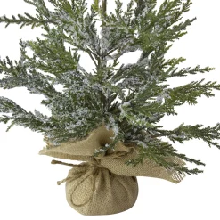 Northlight Unlit-2' Potted Iced Cedar Pine Medium Artificial Christmas Tree - Unlit