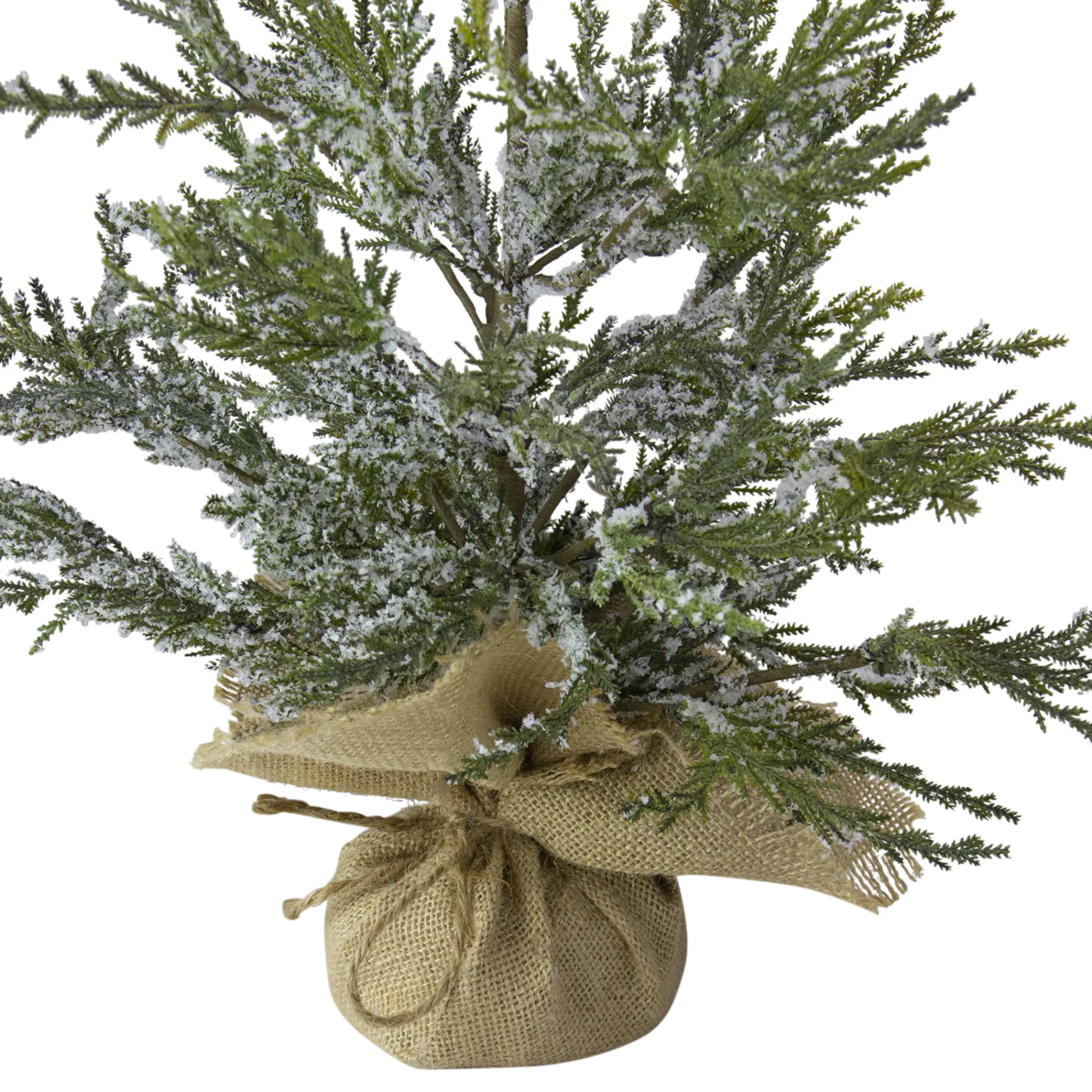 Northlight Unlit-2' Potted Iced Cedar Pine Medium Artificial Christmas Tree - Unlit