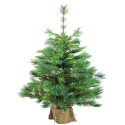 Northlight Unlit-3' Potted New Carolina Spruce Medium Artificial Christmas Tree - Unlit