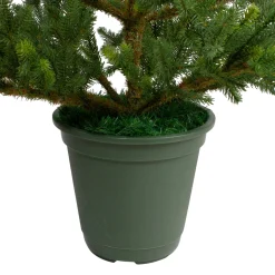 Northlight Unlit-4' Potted Noble Pine Artificial Christmas Tree - Unlit