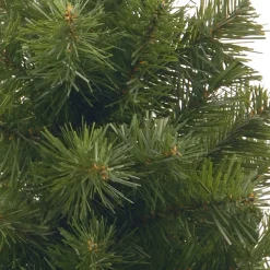 Christmas Central Unlit-2' Potted Noble Spruce Medium Artificial Christmas Tree, Unlit