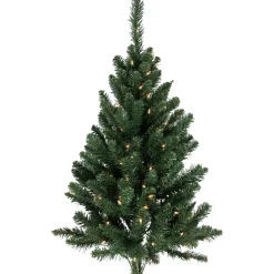 Northlight Wall Trees-3' Pre-Lit Buffalo Fir Artificial Christmas Wall Or Door Tree, Clear Dura Lights