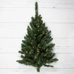 Northlight Wall Trees-3' Pre-Lit Buffalo Fir Artificial Christmas Wall Or Door Tree, Clear Dura Lights