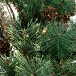 Northlight Wall Trees-2' Pre-Lit Country Mixed Pine Artificial Christmas Wall Tree - Clear Lights