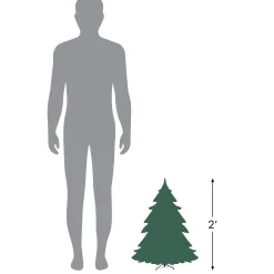 Northlight Wall Trees-2' Pre-Lit Country Mixed Pine Artificial Christmas Wall Tree - Clear Lights