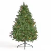 Contemporary Home Living Pre-Lit-4.5' Pre-Lit Full Norway Spruce Artificial Christmas Tree - Multicolor Lights