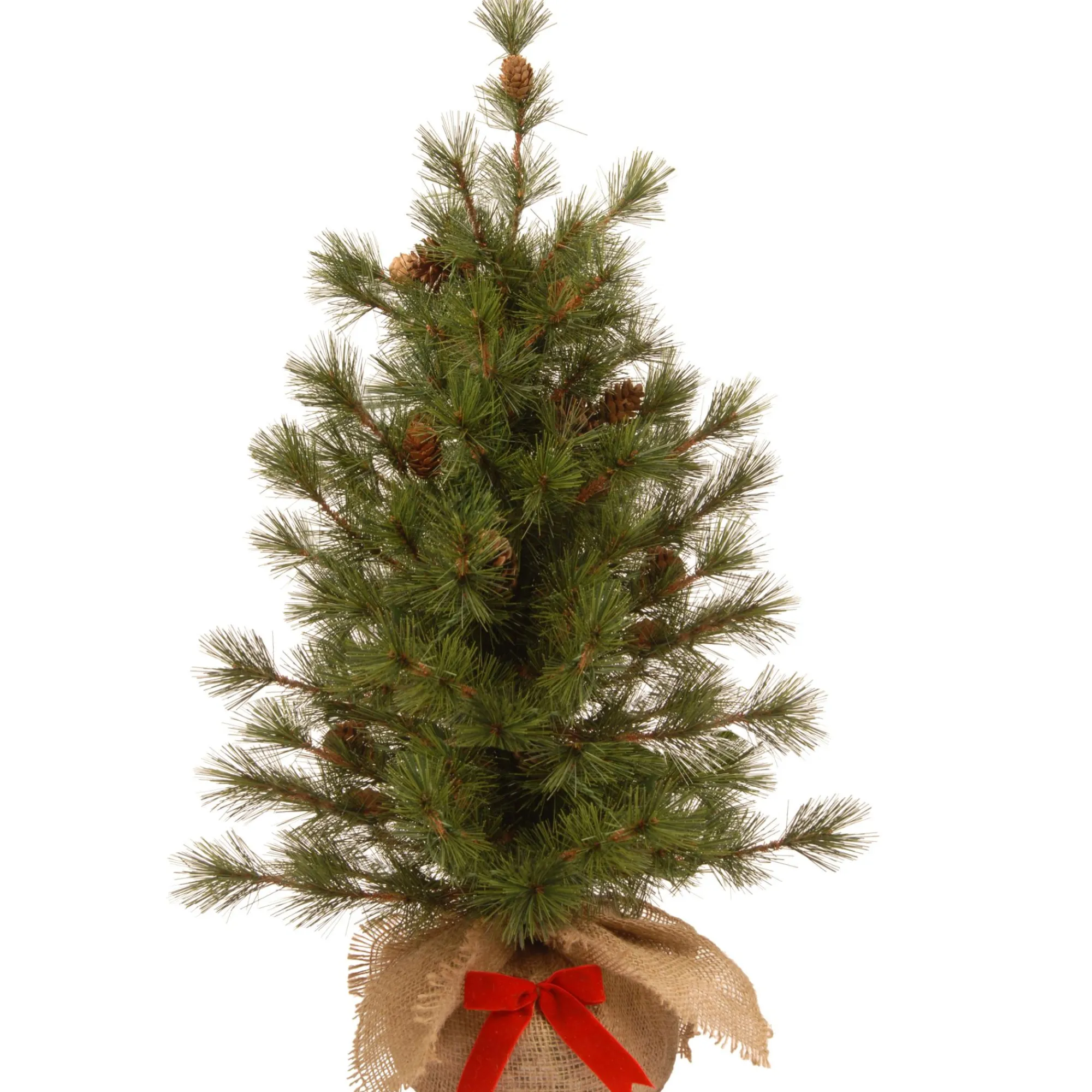 Christmas Central Unlit-3' Slim Bristle Cone Pine Burlap Base Artificial Christmas Tree - Unlit