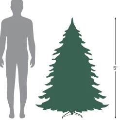 Northlight Wall Trees-5' Winona Fir Artificial Wall Christmas Tree, Unlit