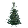 Kaemingk Unlit-6' X 48" Everlands Layered Superior Nobilis Fir Artificial Christmas Tree - Unlit
