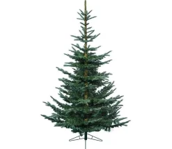 Kaemingk Unlit-6' X 48" Everlands Layered Superior Nobilis Fir Artificial Christmas Tree - Unlit