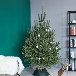 Northlight Real Tree Stands-Green Live Christmas Tree Stand - For Trees Up To 8Ft Tall